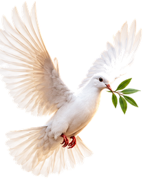 Dove